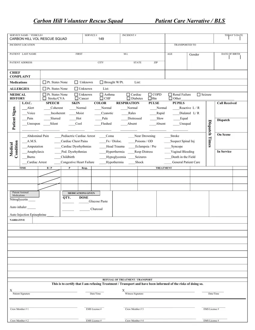 Patient Care Report Form first page preview