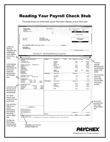 Paychex Paystub Preview