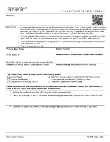 Pc 371 Form Preview