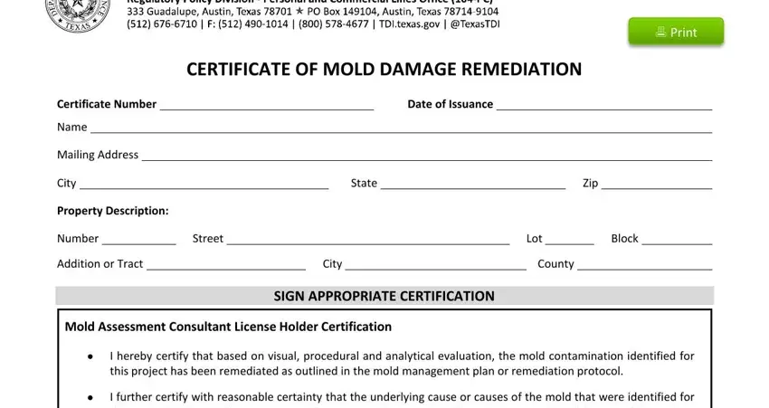mold remediation invoice gaps to fill in