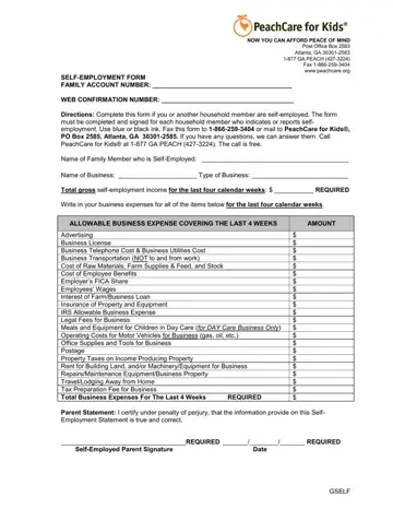 PeachCare Self Employment Form Preview