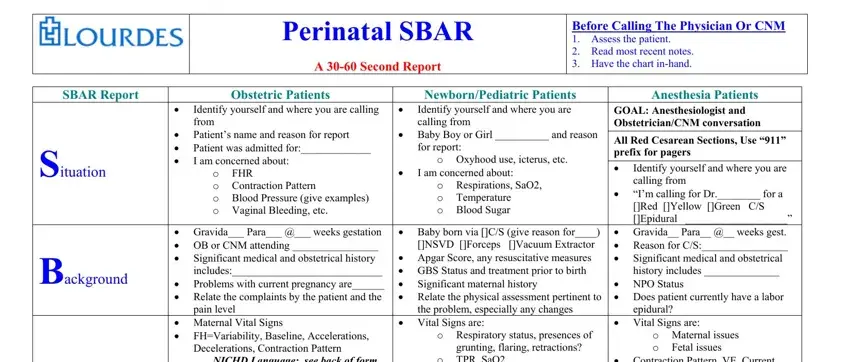 portion of gaps in  sbar report template