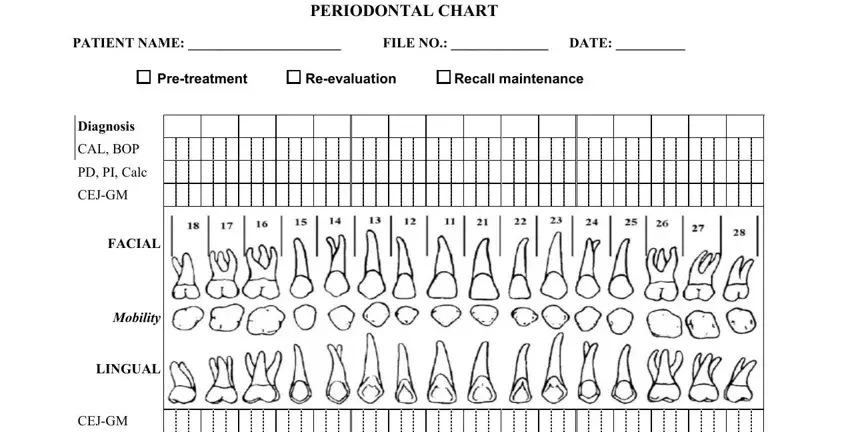 Perio Chart Form Fill Out Printable Pdf Forms Online