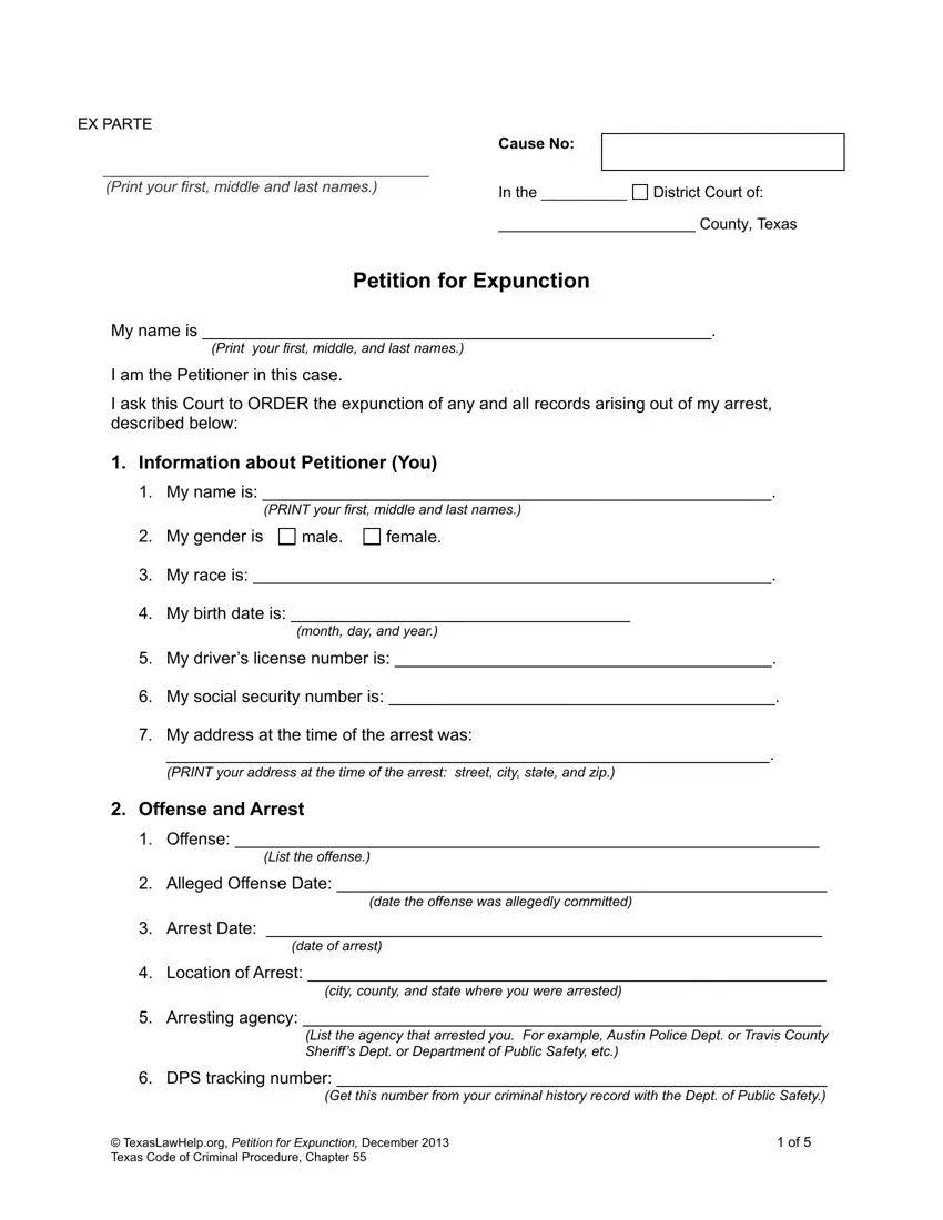 Petition Expunction Texas Form first page preview