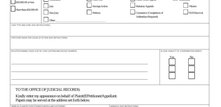 Entering details in civil form court philadelphia part 2