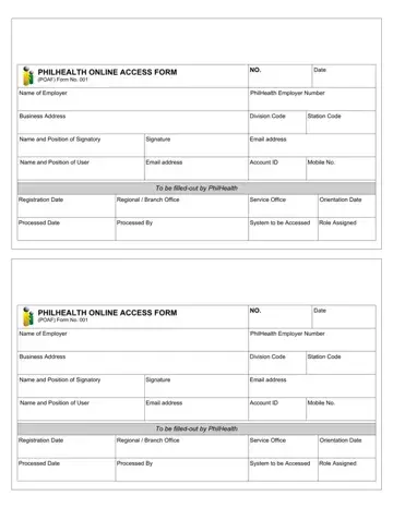 Philhealth Background Form Preview