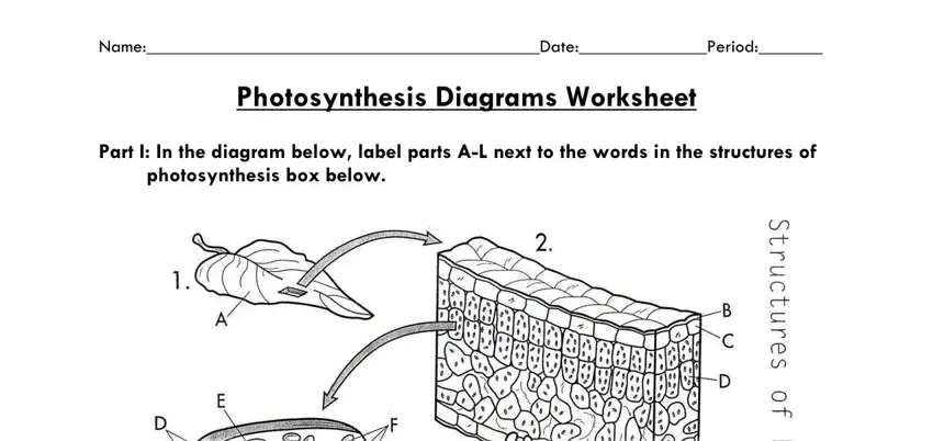entering details in  photosynthesis diagram answer key part 1