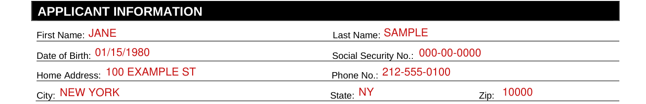 Form LIC61 example filled out, applicant Information