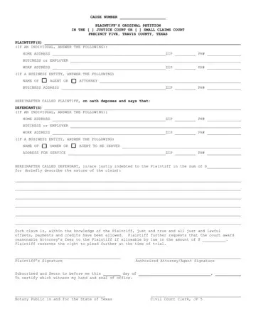 Plaintiff Original Petition Form Preview