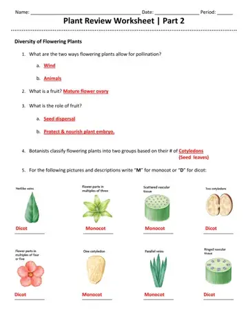 Plant Review Worksheet Part 2 Form Preview