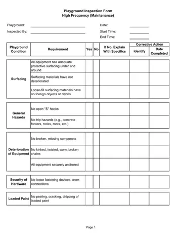 Playground Inspection Report Form Preview