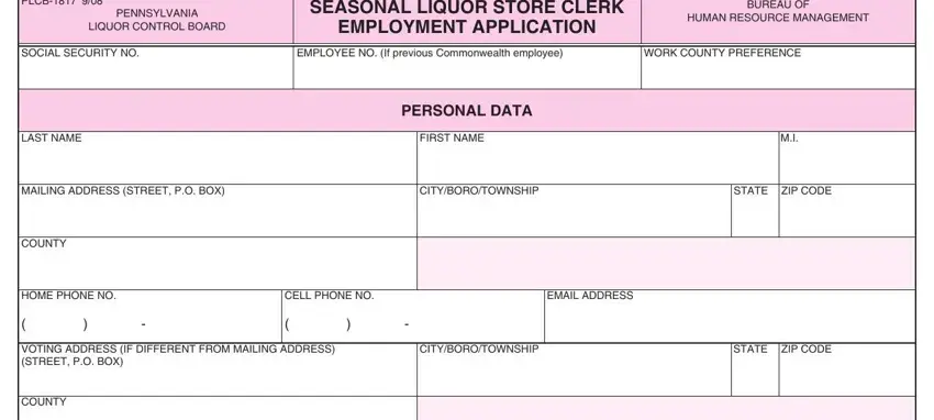 shop application form blanks to fill in