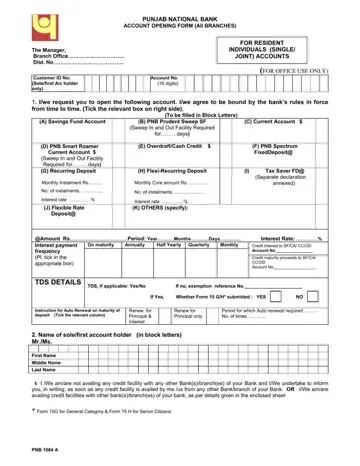 Pnb Account Form Preview
