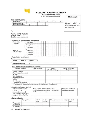 Pnb Account Opening Form Preview