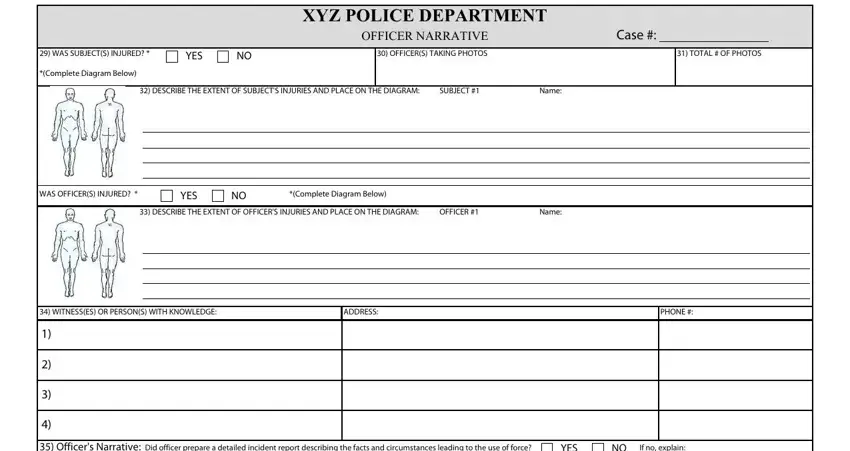 Filling in theft police template stage 4