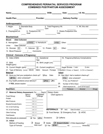 Postpartum Assessment Example Form Preview