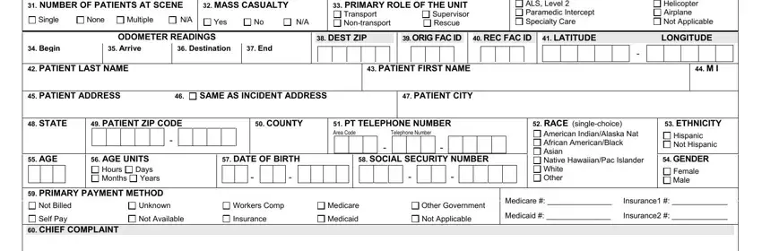 Filling out pre hospital care report form medical stage 2