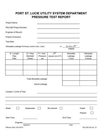 Pressure Test Report Form Preview