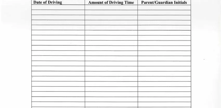 30 Hour Driving Log - Fill Out and Sign Printable PDF Template