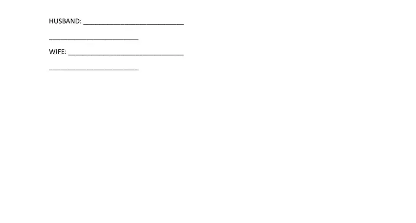 Filling out postnup agreement template part 5