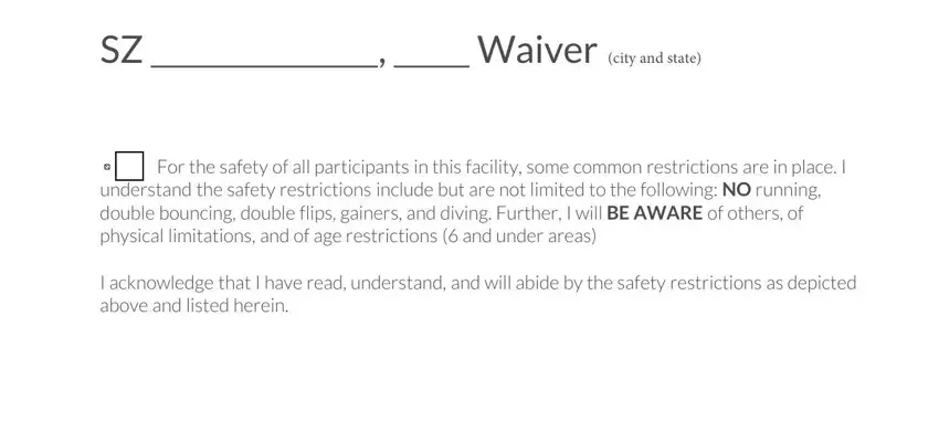 entering details in skyzone printable waiver 2021 stage 1