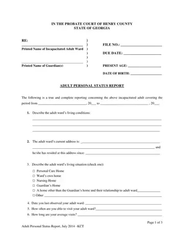 Probate Personal Status Form Preview