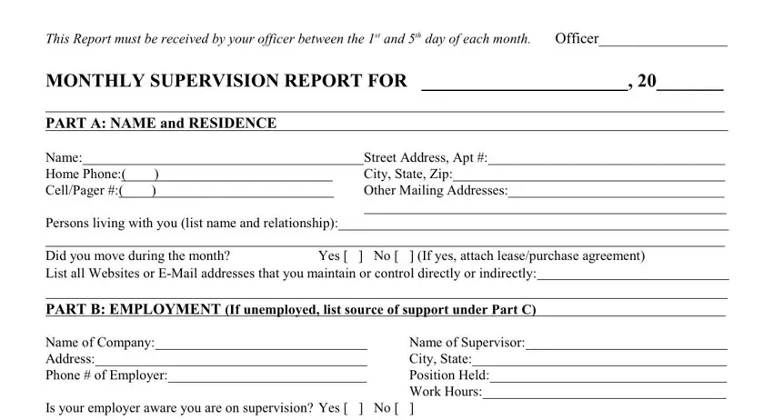 online probation reporting fields to fill out
