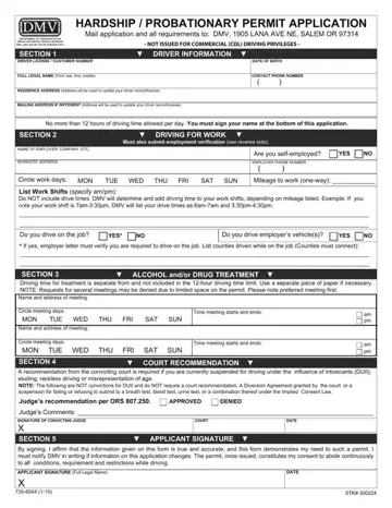 Probationary Permit Application Form Preview