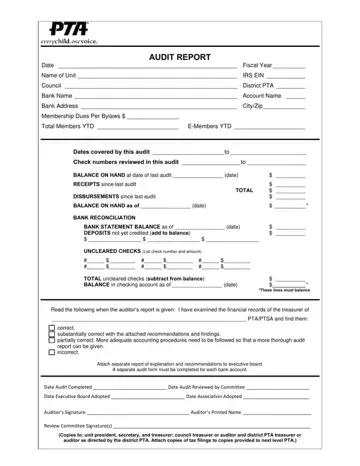 Pta Audit Form Sample Preview