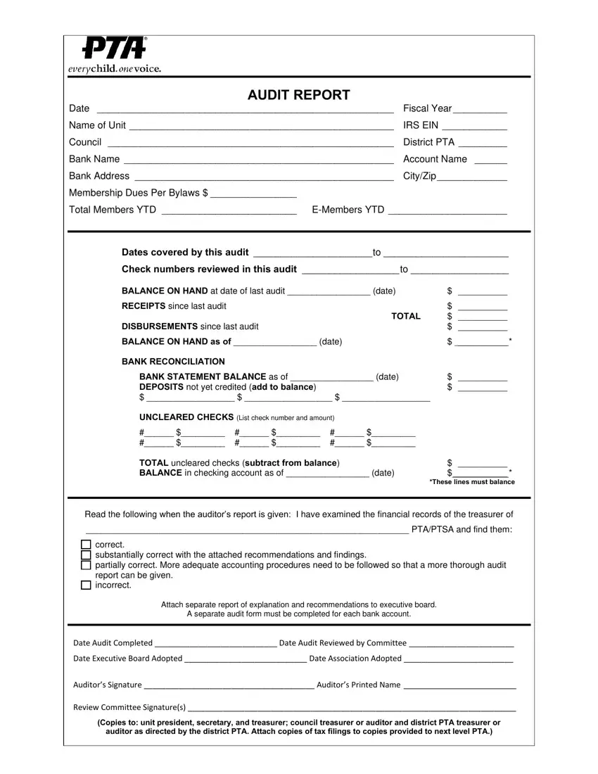 Pta Audit Form Sample first page preview