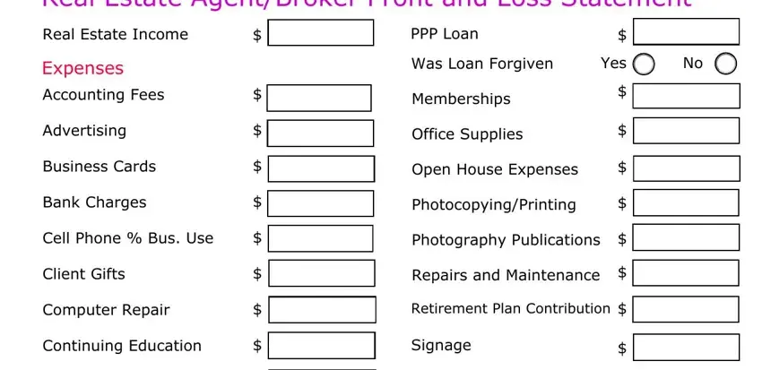real estate agent profit and loss statement spaces to fill out