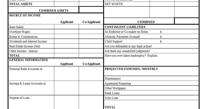 rebny financial form pdf Other Assets, TOTAL ASSETS, TOTAL LIABILITIES, NET WORTH, COMBINED ASSETS, SOURCE OF INCOME, Applicant, CoApplicant, COMBINED, Base Salary, Overtime Wages, Bonus  Commissions, Dividends and Interest Income, Real Estate Income Net, and Other Income  itemize blanks to fill