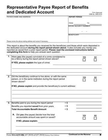 Representative Payee Report Form Preview
