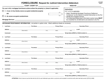 Request Judicial Intervention Addendum Form Preview