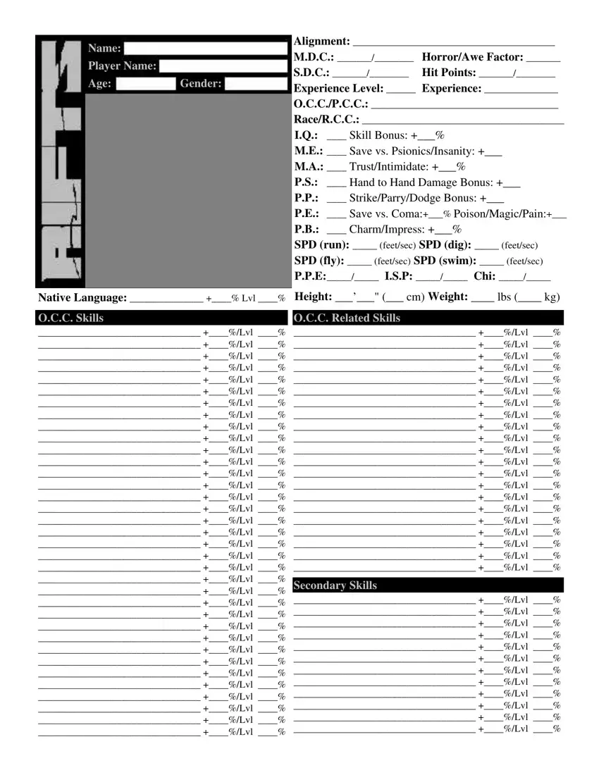 Rifts Sheet first page preview