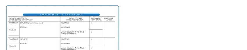 Entering details in rite application employment step 4