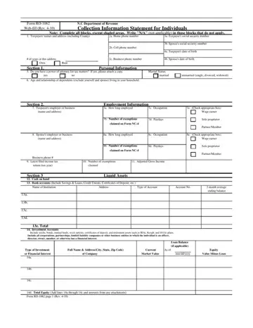 Ro 1062 Form Preview