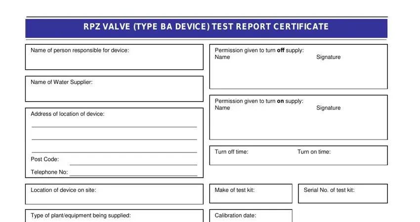 rpz test sheet complete fields to fill in