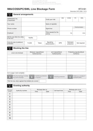 Rt3181 Form Preview