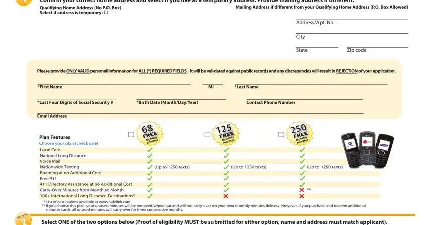 entering details in safelink paper application step 1