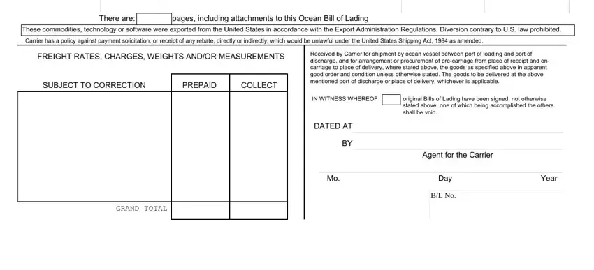 Finishing ocean bill of lading example step 2