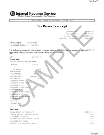 Sample Tax Return Transcript Preview