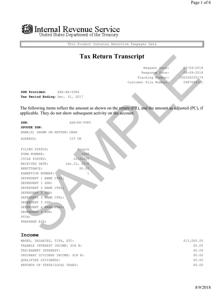 Sample Tax Return Transcript first page preview