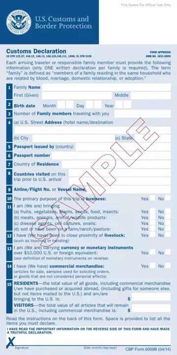 Sample Us Customs Form Preview