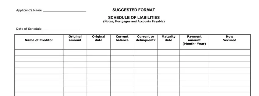 2202 schedule liabilities form gaps to fill in
