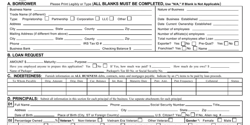 sba forms blanks to complete