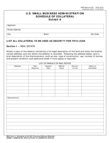 Sba Form 4 Preview