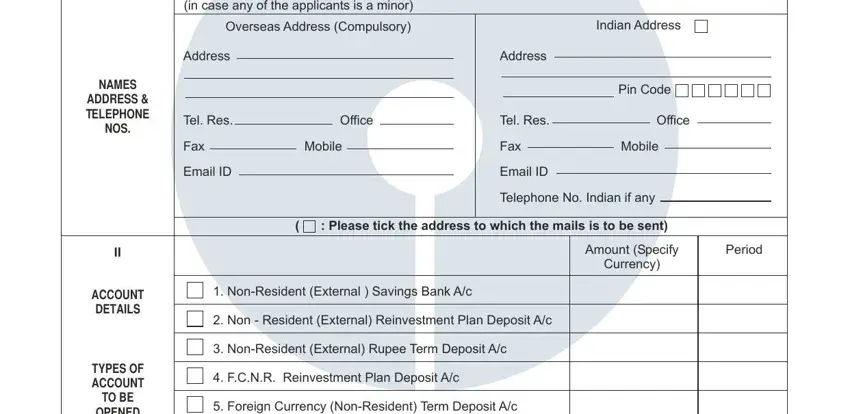 OverseasAddressCompulsory, IndianAddress, Address, Address, PinCode, TelResOffice, TelResOffice, FaxMobile, FaxMobile, EmailID, EmailID, TelephoneNoIndianifany, AmountSpecify, Currency, and Period in how to fill bank account form