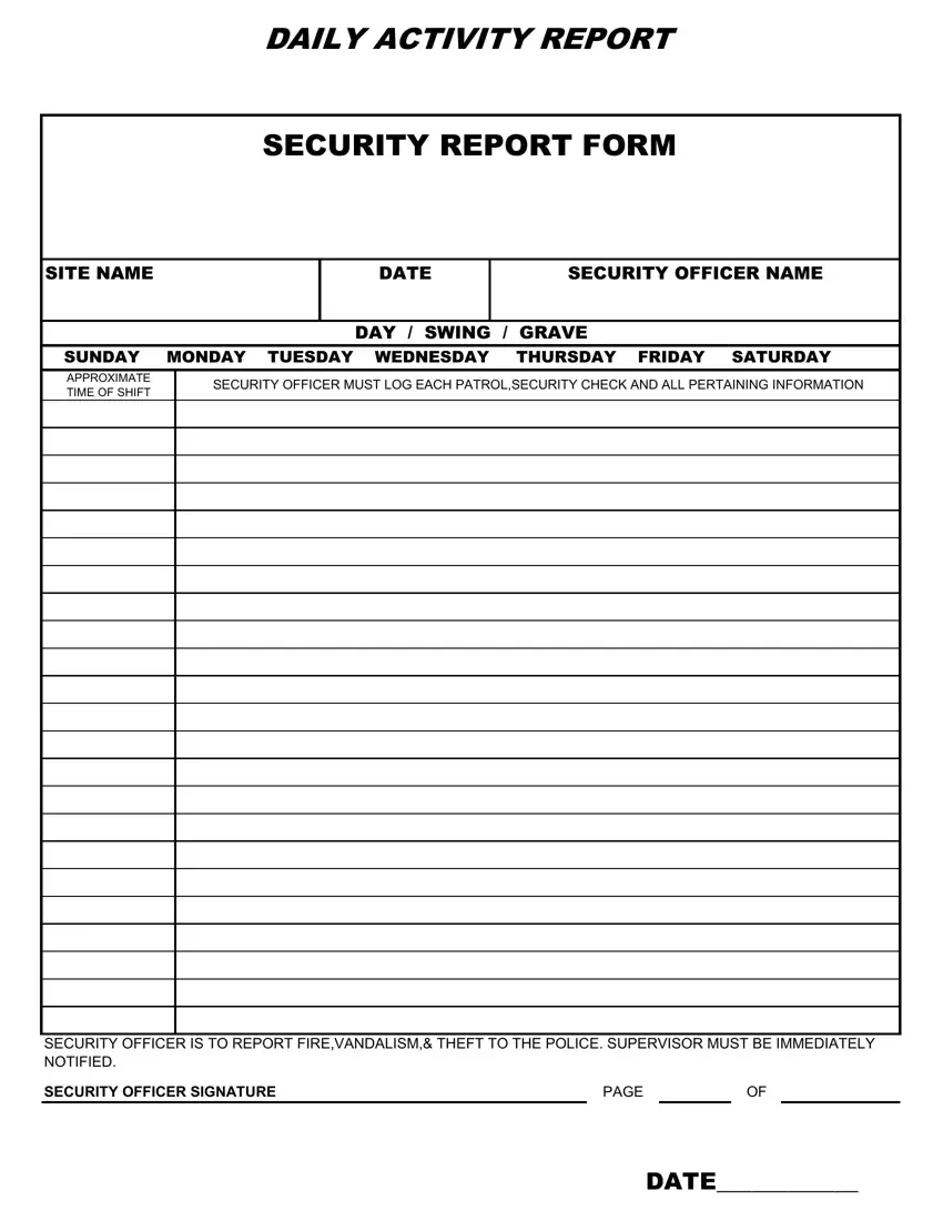 Security Guard Daily Report Sample first page preview