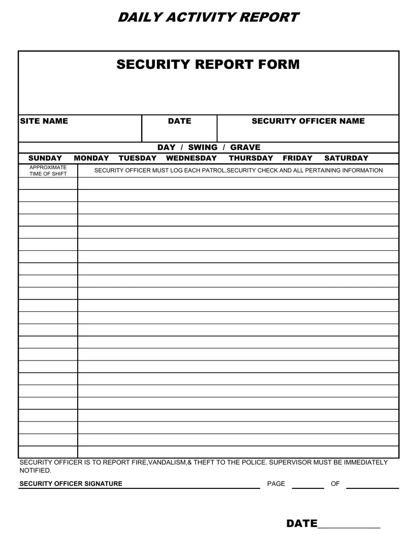 Security Daily Activity Report Template Word Prntbl 